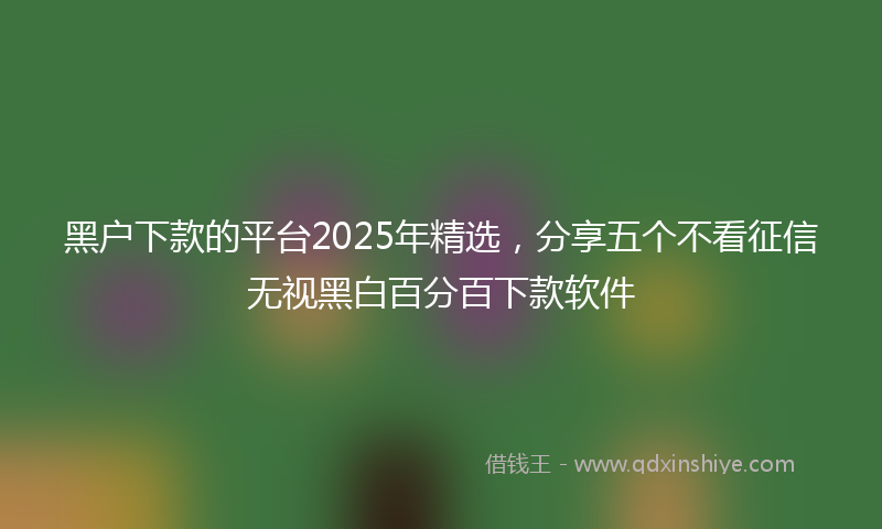 黑户下款的平台2025年精选，分享五个不看征信无视黑白百分百下款软件