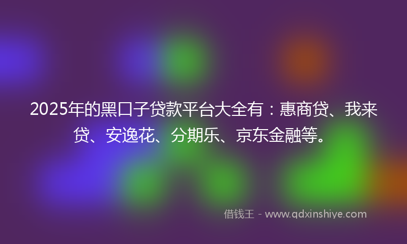2025年的黑口子贷款平台大全有：惠商贷、我来贷、安逸花、分期乐、京东金融等。