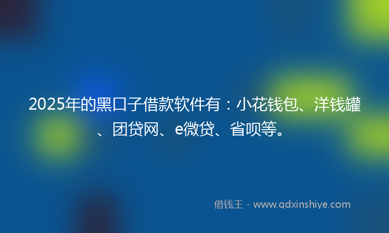 2025年的黑口子借款软件有：小花钱包、洋钱罐、团贷网、e微贷、省呗等。