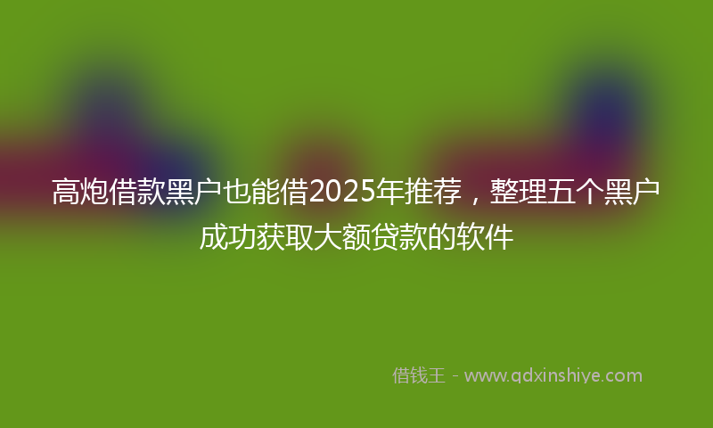 高炮借款黑户也能借2025年推荐，整理五个黑户成功获取大额贷款的软件