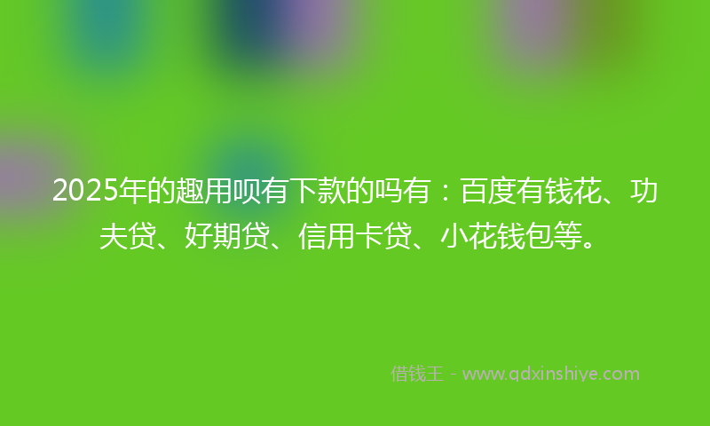 2025年的趣用呗有下款的吗有：百度有钱花、功夫贷、好期贷、信用卡贷、小花钱包等。