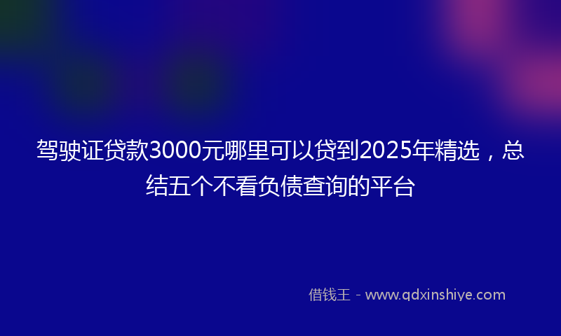 驾驶证贷款3000元哪里可以贷到2025年精选，总结五个不看负债查询的平台