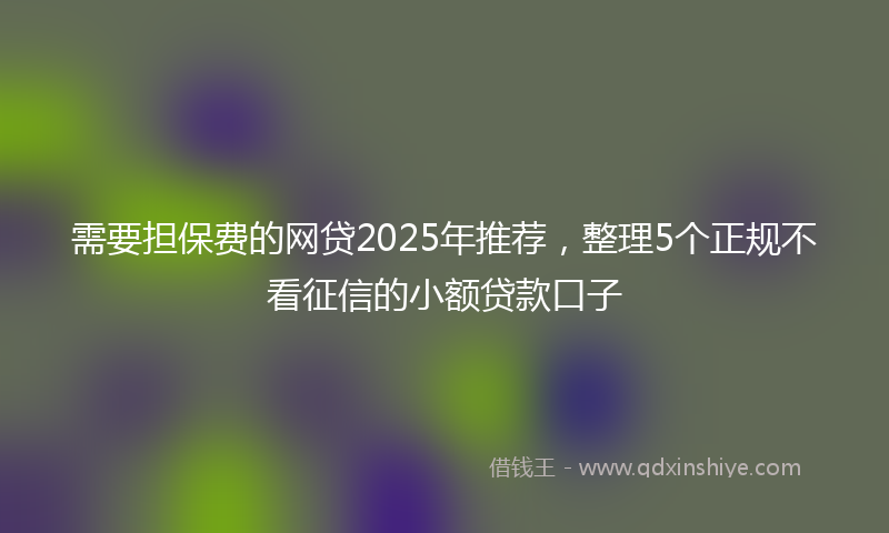 需要担保费的网贷2025年推荐，整理5个正规不看征信的小额贷款口子