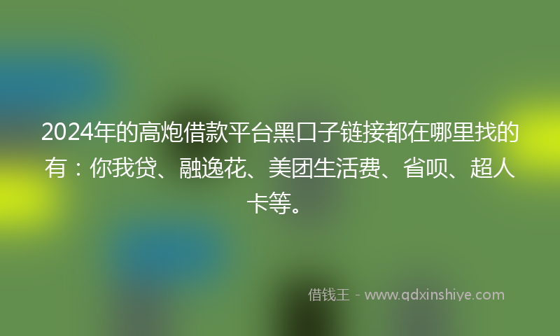 2024年的高炮借款平台黑口子链接都在哪里找的有：你我贷、融逸花、美团生活费、省呗、超人卡等。