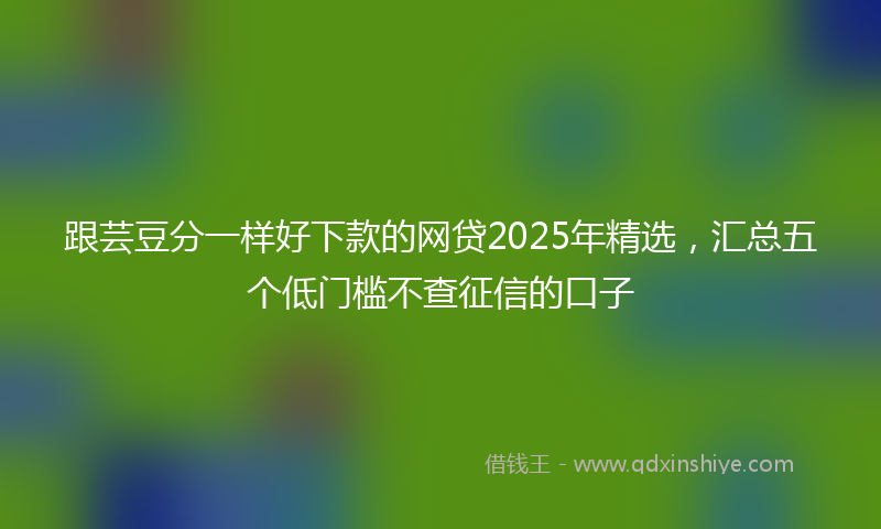 跟芸豆分一样好下款的网贷2025年精选，汇总五个低门槛不查征信的口子