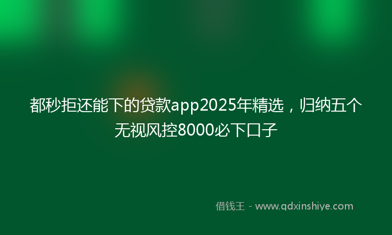 都秒拒还能下的贷款app2025年精选，归纳五个无视风控8000必下口子