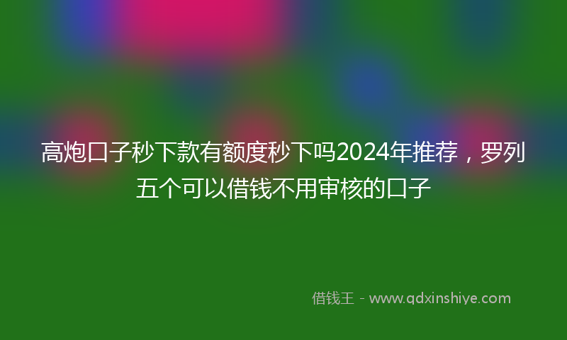 高炮口子秒下款有额度秒下吗2024年推荐，罗列五个可以借钱不用审核的口子