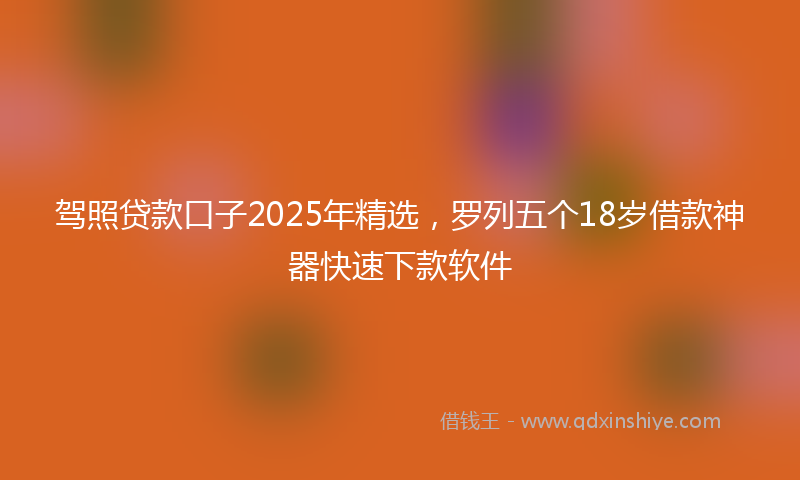 驾照贷款口子2025年精选，罗列五个18岁借款神器快速下款软件