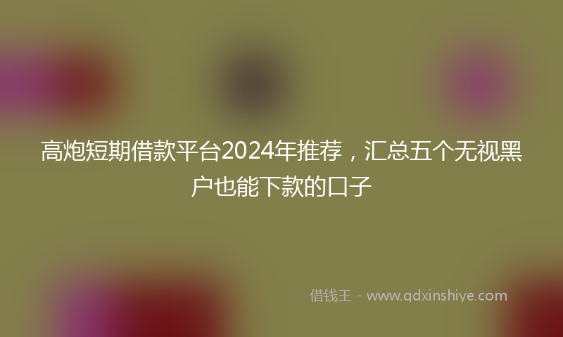 高炮短期借款平台2024年推荐，汇总五个无视黑户也能下款的口子