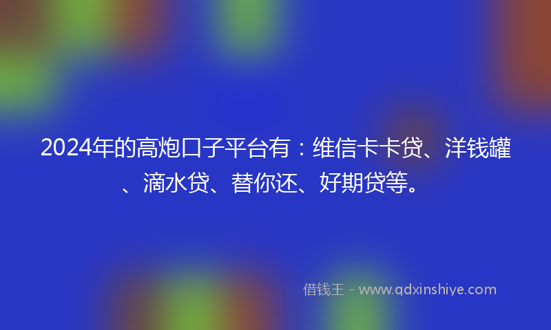 2024年的高炮口子平台有：维信卡卡贷、洋钱罐、滴水贷、替你还、好期贷等。