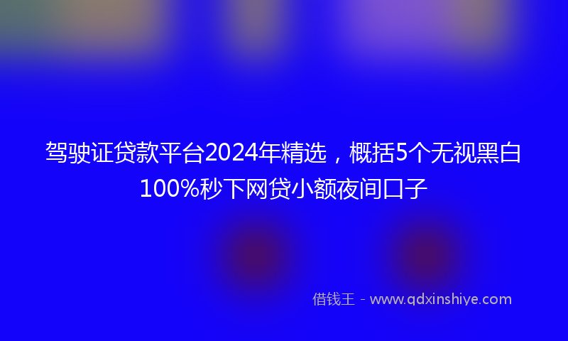驾驶证贷款平台2024年精选，概括5个无视黑白100%秒下网贷小额夜间口子