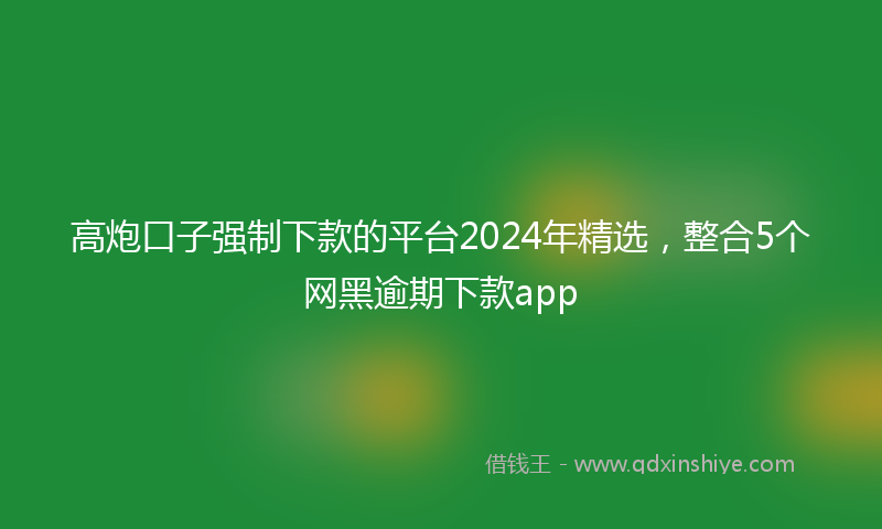 高炮口子强制下款的平台2024年精选，整合5个网黑逾期下款app