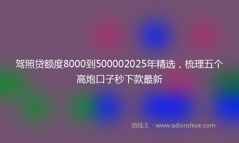 驾照贷额度8000到500002025年精选，梳理五个高炮口子秒下款最新