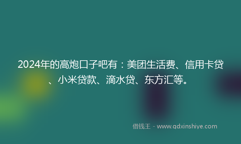 2024年的高炮口子吧有：美团生活费、信用卡贷、小米贷款、滴水贷、东方汇等。
