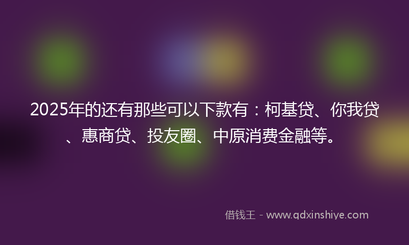 2025年的还有那些可以下款有：柯基贷、你我贷、惠商贷、投友圈、中原消费金融等。