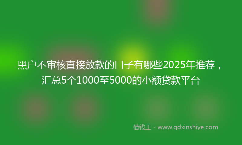 黑户不审核直接放款的口子有哪些2025年推荐，汇总5个1000至5000的小额贷款平台