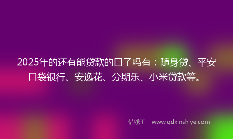 2025年的还有能贷款的口子吗有：随身贷、平安口袋银行、安逸花、分期乐、小米贷款等。