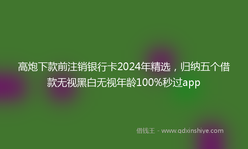 高炮下款前注销银行卡2024年精选，归纳五个借款无视黑白无视年龄100%秒过app