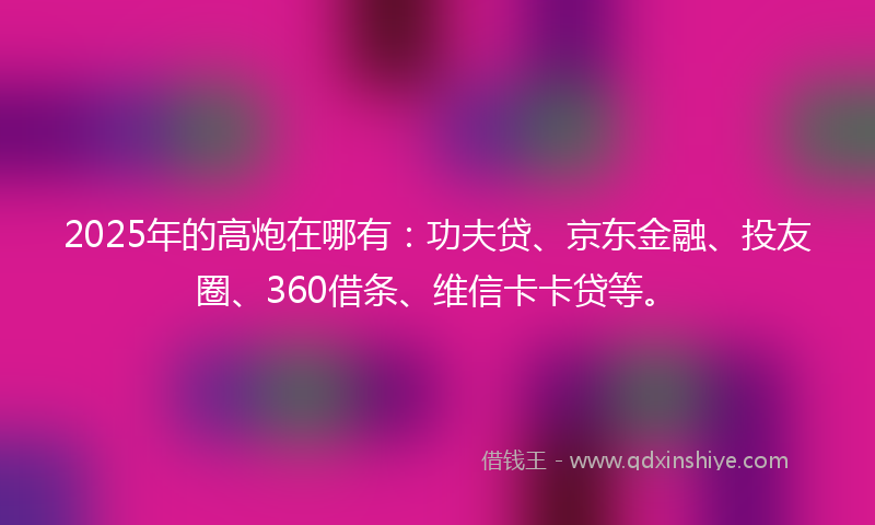 2025年的高炮在哪有：功夫贷、京东金融、投友圈、360借条、维信卡卡贷等。