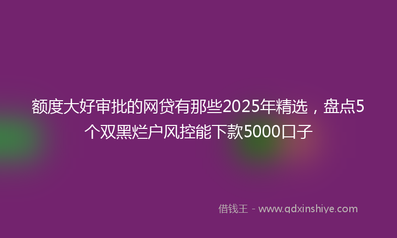 额度大好审批的网贷有那些2025年精选，盘点5个双黑烂户风控能下款5000口子