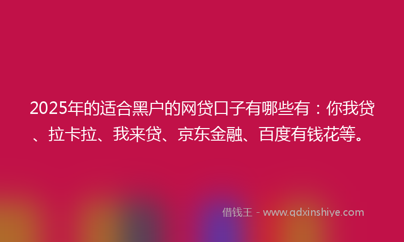 2025年的适合黑户的网贷口子有哪些有：你我贷、拉卡拉、我来贷、京东金融、百度有钱花等。