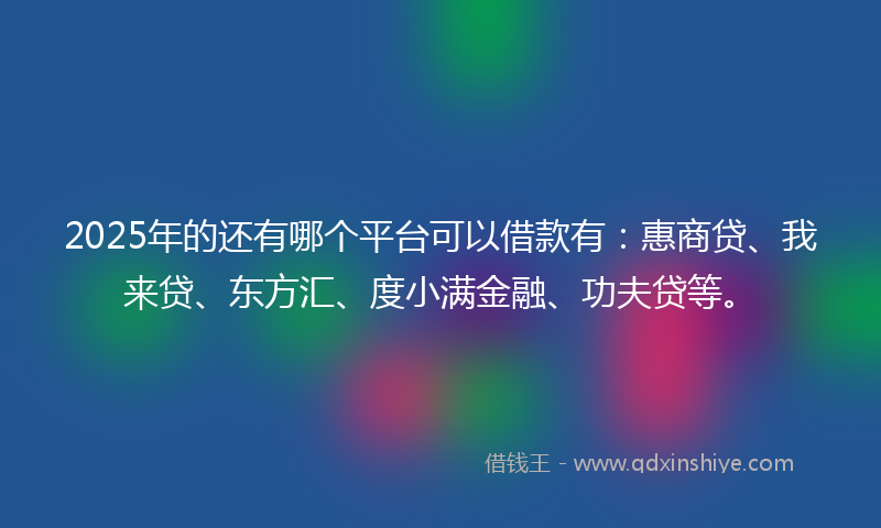 2025年的还有哪个平台可以借款有：惠商贷、我来贷、东方汇、度小满金融、功夫贷等。
