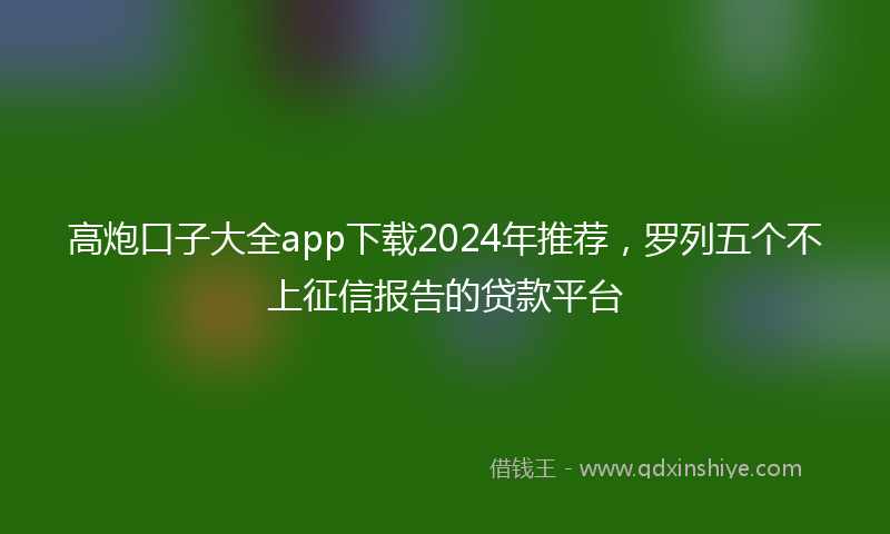 高炮口子大全app下载2024年推荐，罗列五个不上征信报告的贷款平台