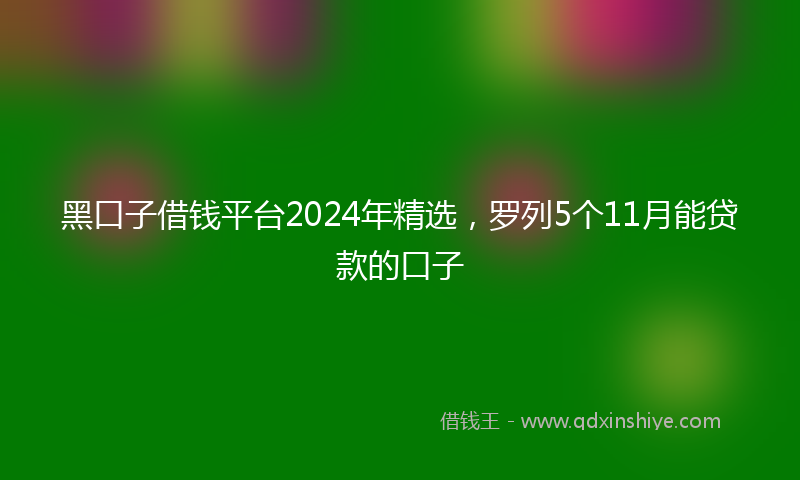 黑口子借钱平台2024年精选，罗列5个11月能贷款的口子