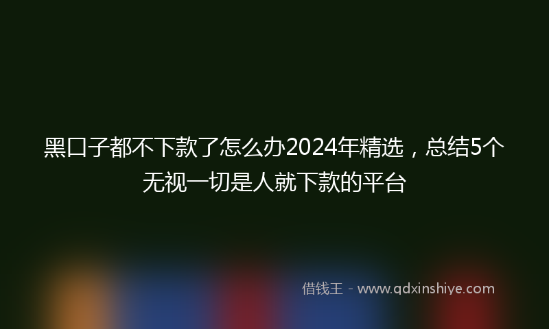 黑口子都不下款了怎么办2024年精选，总结5个无视一切是人就下款的平台