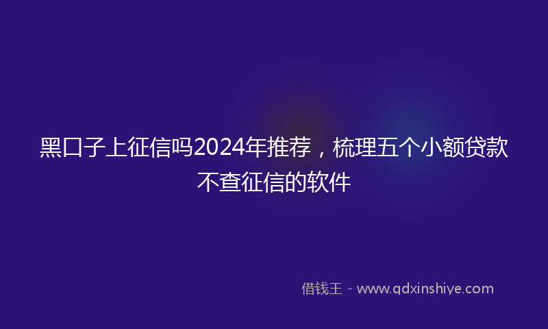 黑口子上征信吗2024年推荐，梳理五个小额贷款不查征信的软件