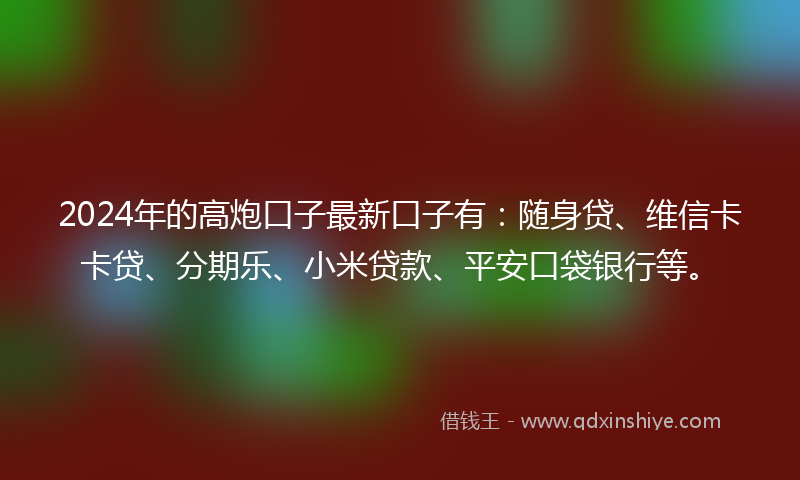 2024年的高炮口子最新口子有：随身贷、维信卡卡贷、分期乐、小米贷款、平安口袋银行等。
