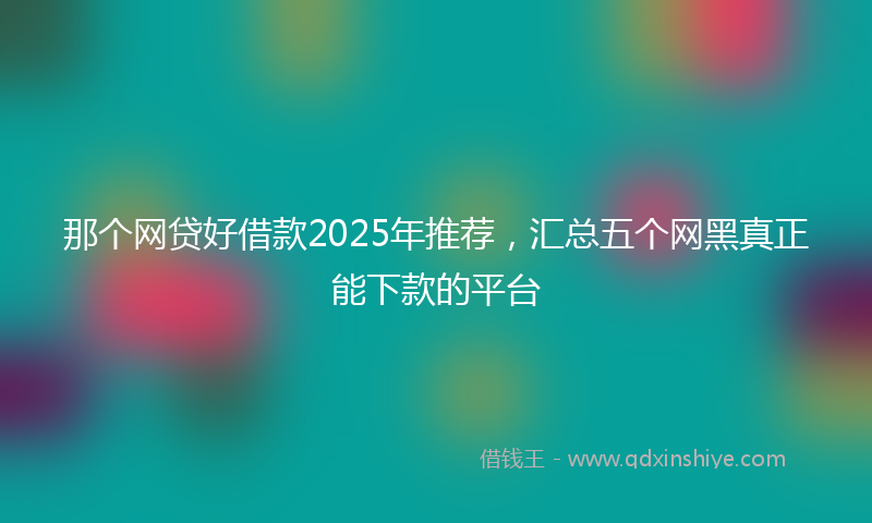 那个网贷好借款2025年推荐，汇总五个网黑真正能下款的平台