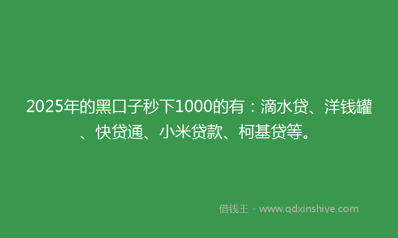 2025年的黑口子秒下1000的有：滴水贷、洋钱罐、快贷通、小米贷款、柯基贷等。