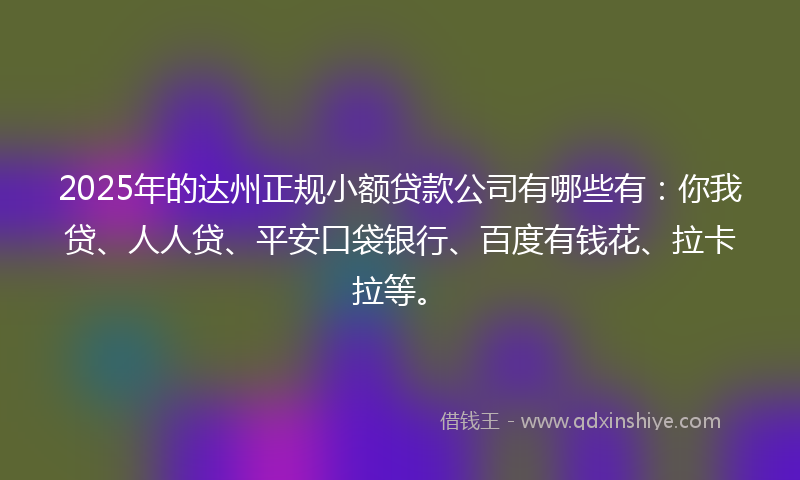2025年的达州正规小额贷款公司有哪些有：你我贷、人人贷、平安口袋银行、百度有钱花、拉卡拉等。