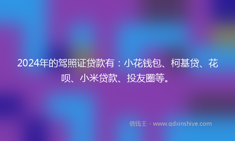 2024年的驾照证贷款有：小花钱包、柯基贷、花呗、小米贷款、投友圈等。