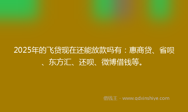 2025年的飞贷现在还能放款吗有：惠商贷、省呗、东方汇、还呗、微博借钱等。