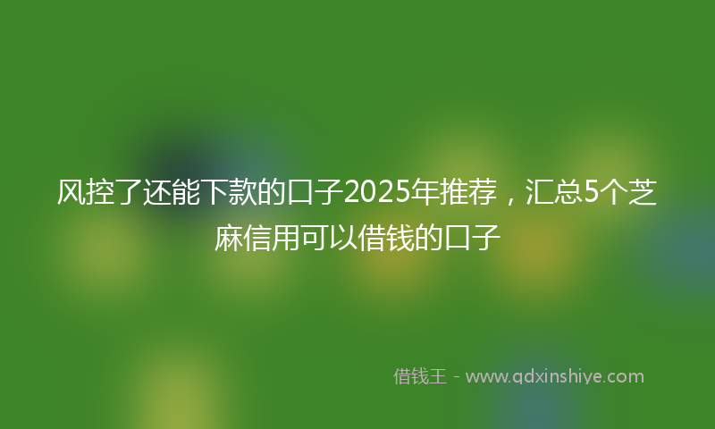 风控了还能下款的口子2025年推荐，汇总5个芝麻信用可以借钱的口子