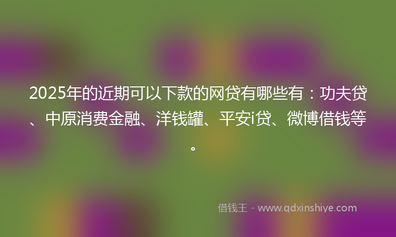 2025年的近期可以下款的网贷有哪些有：功夫贷、中原消费金融、洋钱罐、平安i贷、微博借钱等。