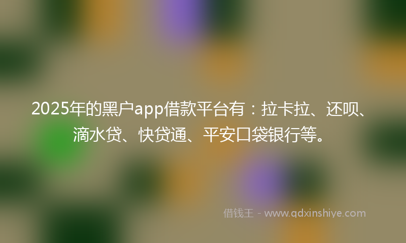 2025年的黑户app借款平台有：拉卡拉、还呗、滴水贷、快贷通、平安口袋银行等。
