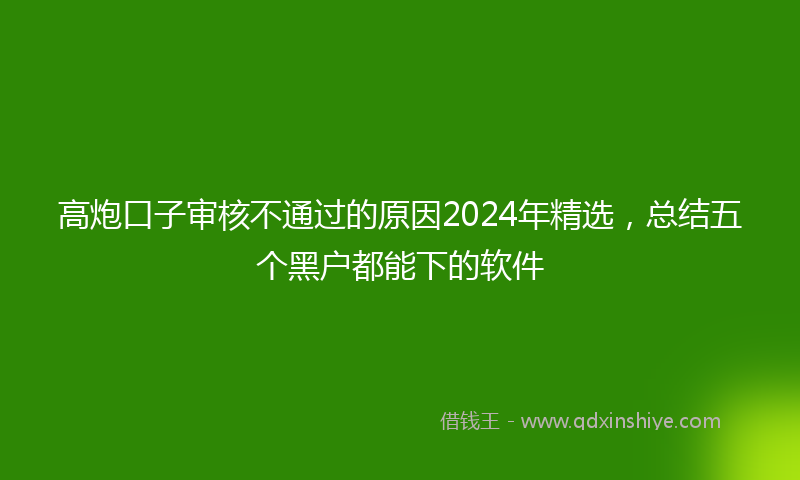 高炮口子审核不通过的原因2024年精选，总结五个黑户都能下的软件