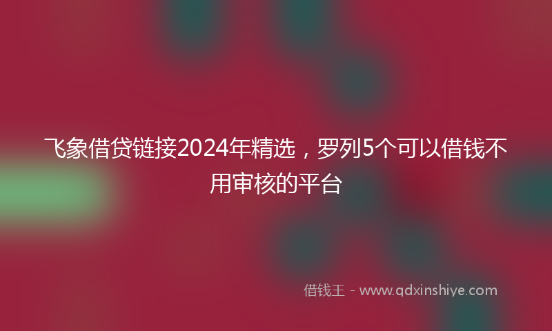 飞象借贷链接2024年精选，罗列5个可以借钱不用审核的平台