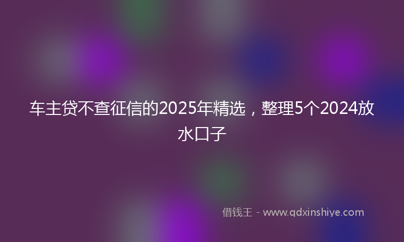 车主贷不查征信的2025年精选，整理5个2024放水口子
