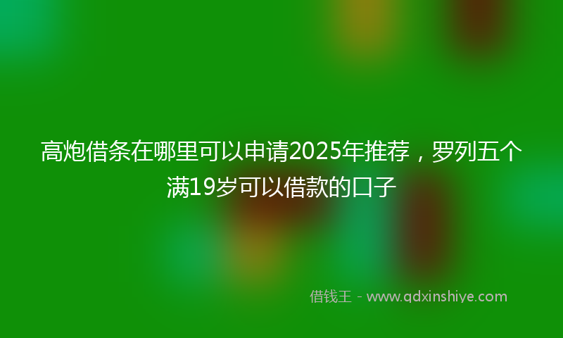 高炮借条在哪里可以申请2025年推荐，罗列五个满19岁可以借款的口子