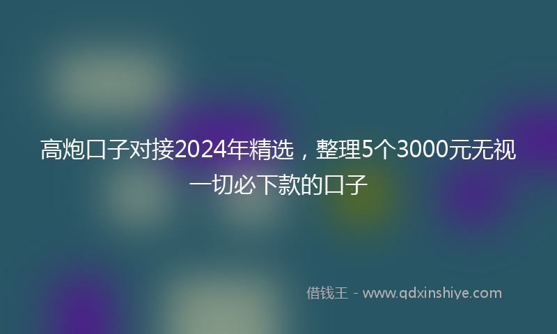 高炮口子对接2024年精选，整理5个3000元无视一切必下款的口子