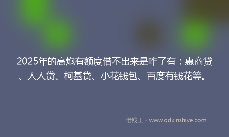 2025年的高炮有额度借不出来是咋了有：惠商贷、人人贷、柯基贷、小花钱包、百度有钱花等。