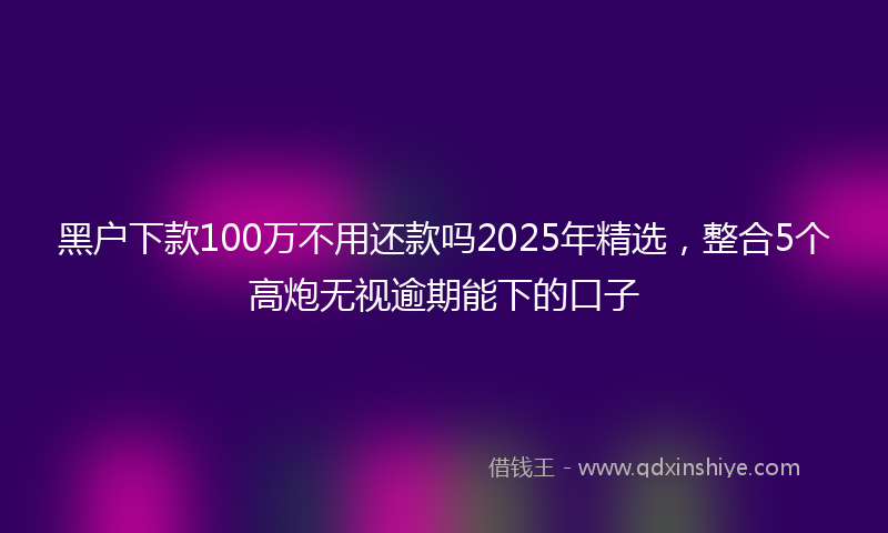 黑户下款100万不用还款吗2025年精选，整合5个高炮无视逾期能下的口子