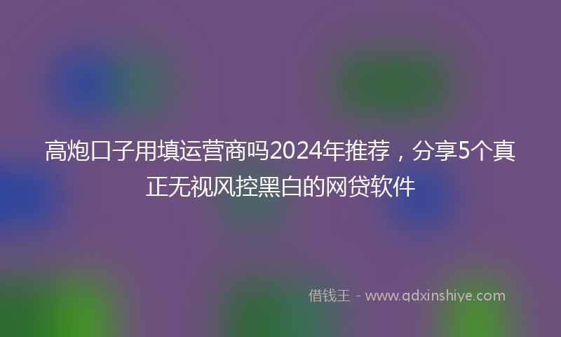 高炮口子用填运营商吗2024年推荐，分享5个真正无视风控黑白的网贷软件
