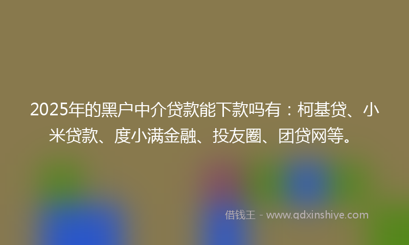 2025年的黑户中介贷款能下款吗有：柯基贷、小米贷款、度小满金融、投友圈、团贷网等。