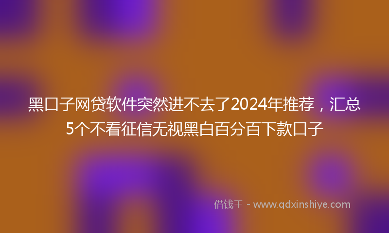 黑口子网贷软件突然进不去了2024年推荐，汇总5个不看征信无视黑白百分百下款口子