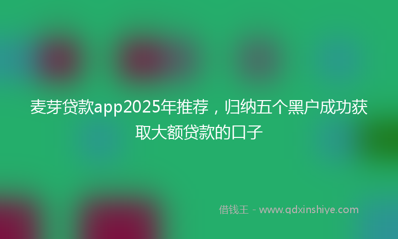 麦芽贷款app2025年推荐，归纳五个黑户成功获取大额贷款的口子
